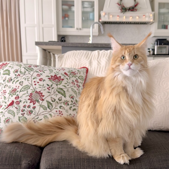 Meet your Posher, Bryana - Picture 2 of 2